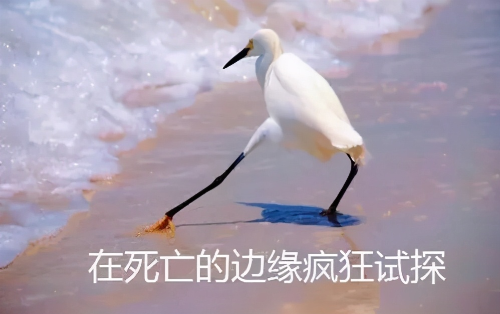 阿迪达斯被召回,阿迪耐克会不会被撤出中国市场