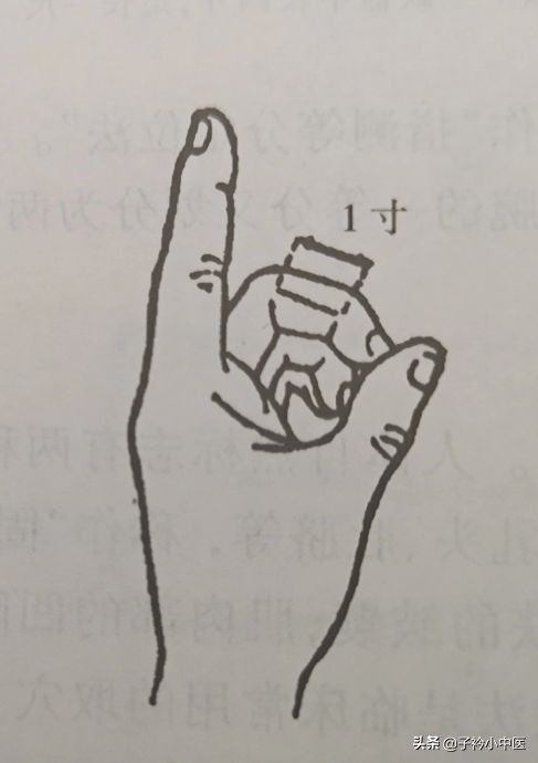 穴位的一寸是多长,人体穴位怎样确定找得准确不准确