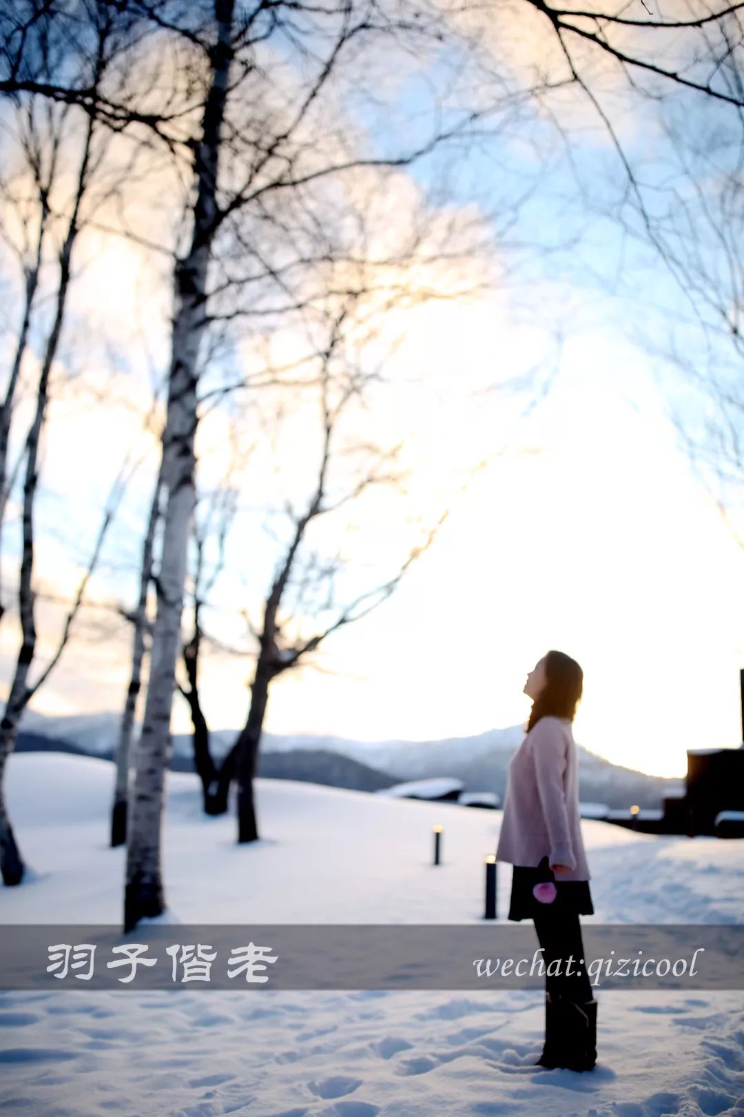 老实说,这一趟北海道就是为了拍好看的照片去的