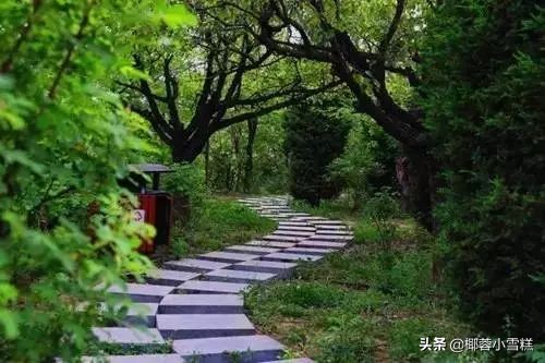 郑州适合晨跑的地方,郑州晨跑圣地