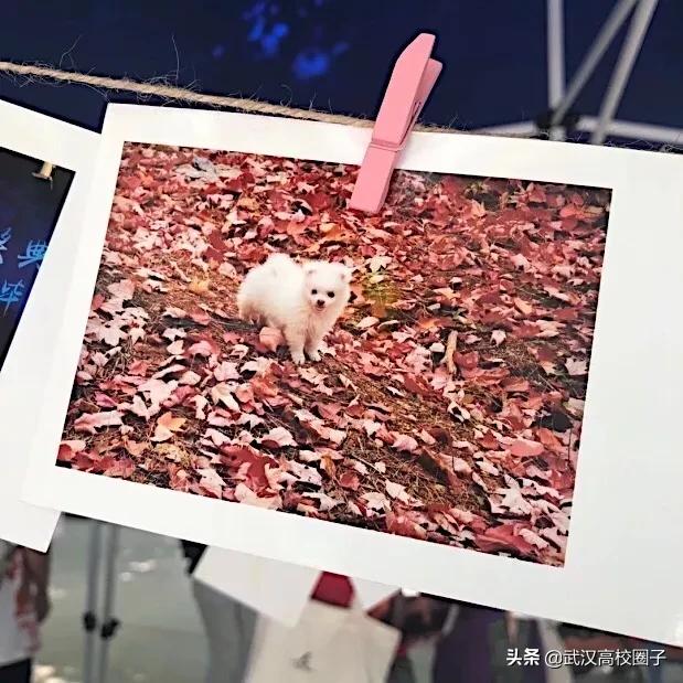 全武汉只有这所大学校门上跑火车，以前嫌弃现在却又舍不得