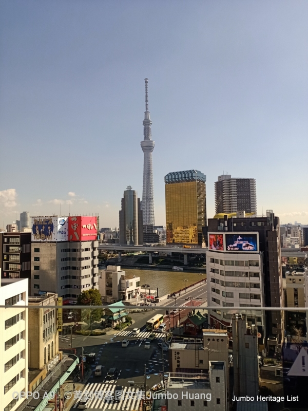 第1011回：世界第一高晴空塔，明治神宫安座百年