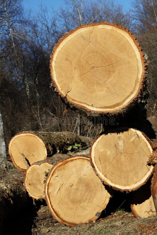 实木床材质哪个性价比高,2千左右的实木床买哪种材质