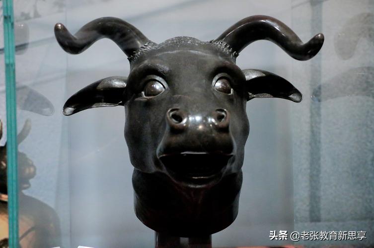 涨知识生肖,牛年感悟牛文化