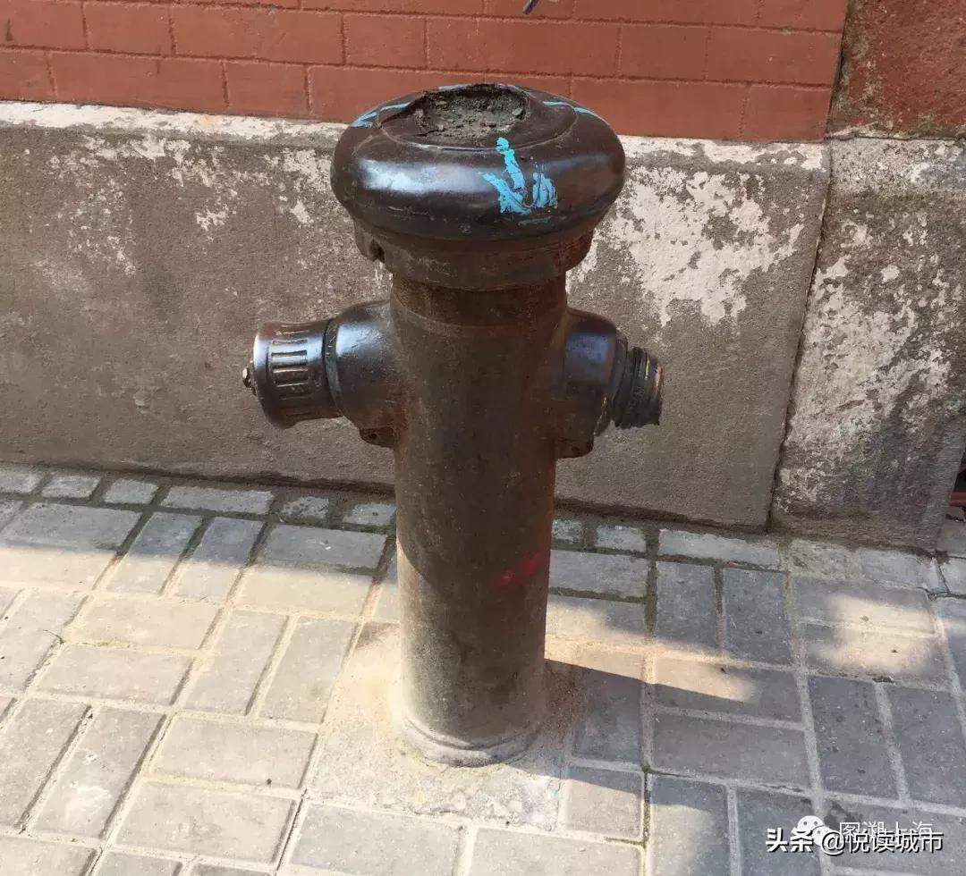 老上海租界历史,上海红头阿三指的是什么