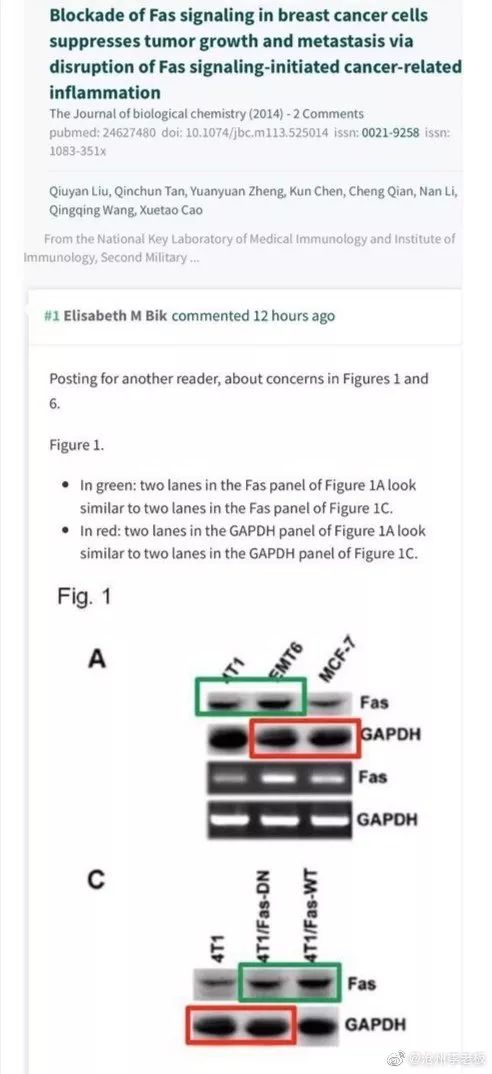 也来说说南开大学校长涉嫌论文造假…