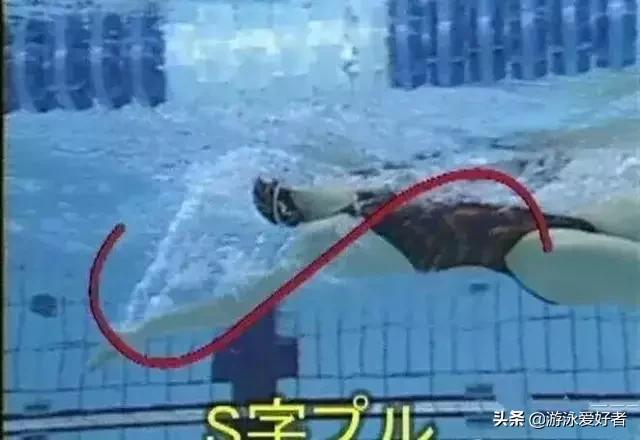 仰泳蹬腿如何不呛水,仰泳转身才不会呛水