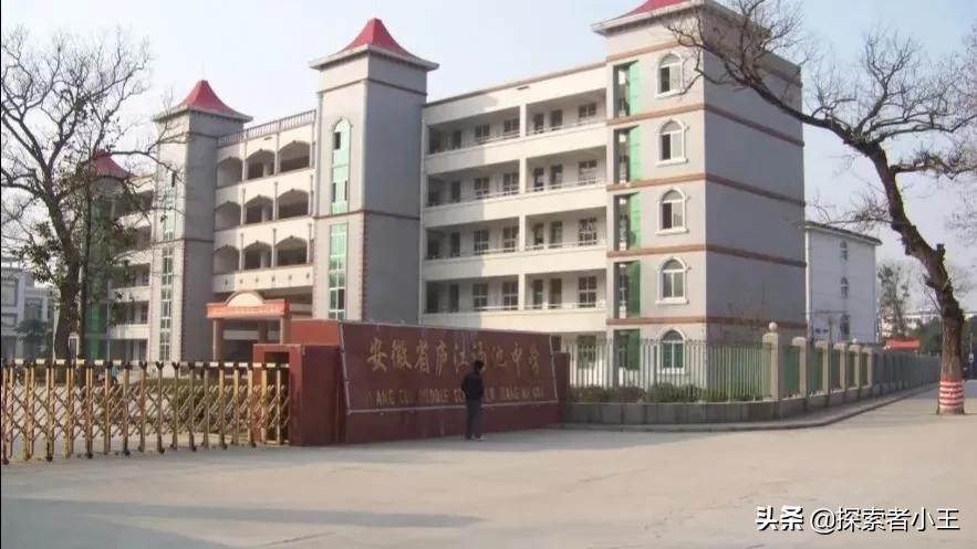 安徽省合肥市前20名高中学校排名,安徽省合肥市示范高中有哪些