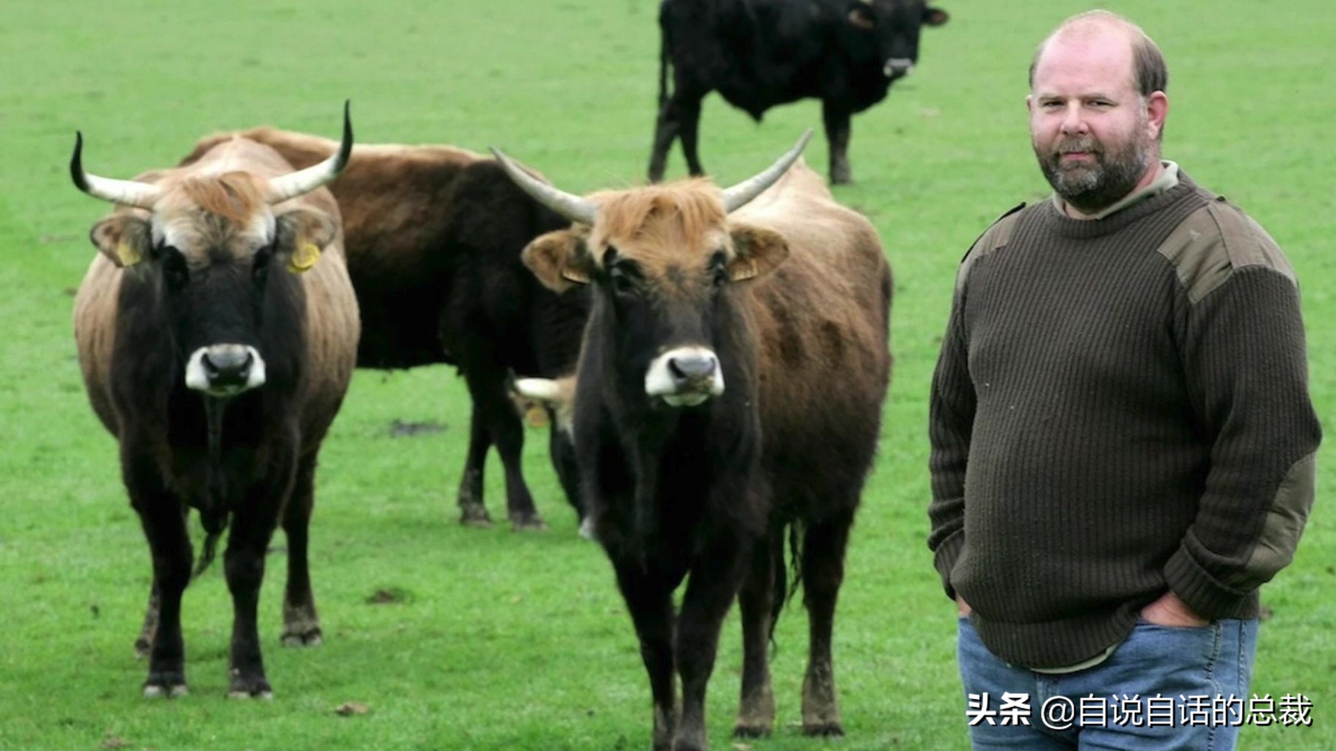 阿努纳奇创造人类7次文明,阿努纳奇人类起源