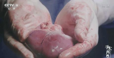 在学习强国看电视剧,能在学习强国看的电视剧