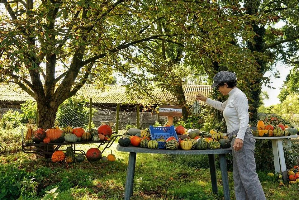 荷兰人身体素质,荷兰人素质怎么样
