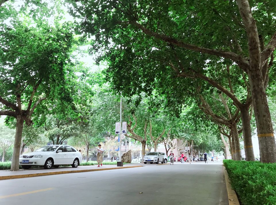 石家庄铁道大学曾经有多辉煌,1979年的石家庄铁道大学