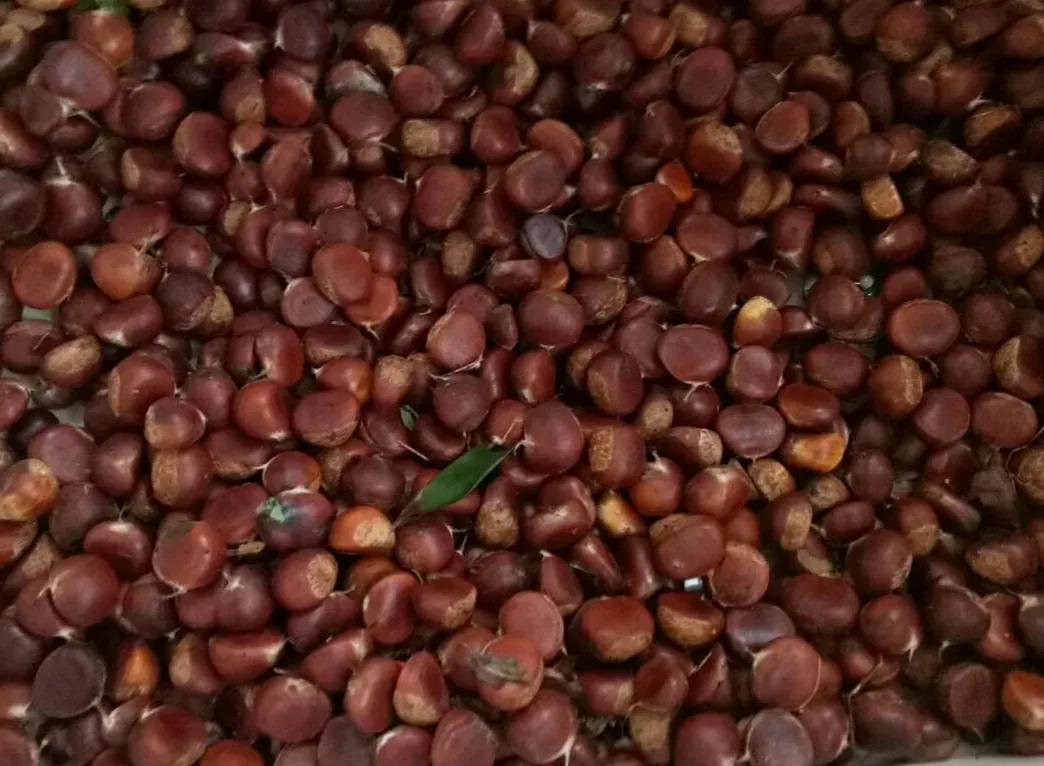 给大家展示一下什么叫做“金山药岭名茶地，竹海栗园水电乡”