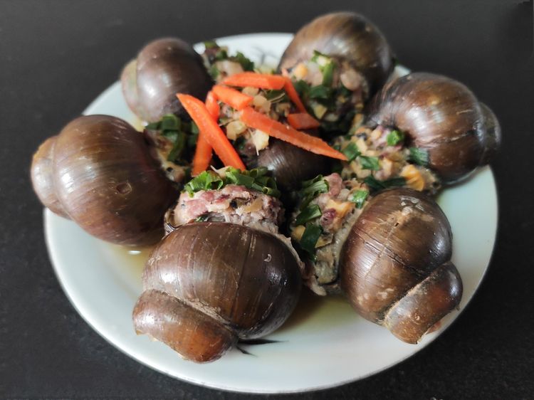 清蒸田螺做法大全家常,吃超大清蒸的田螺