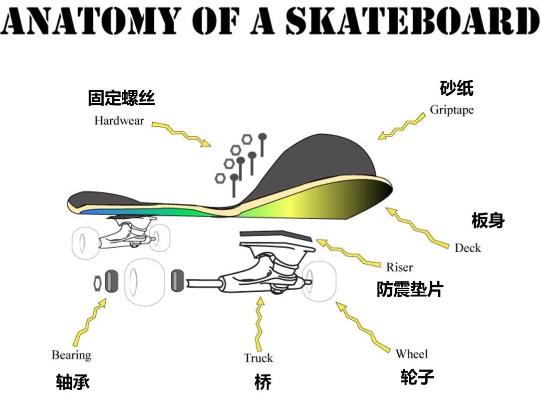 不懂装懂级滑板观赛指南(物理版)