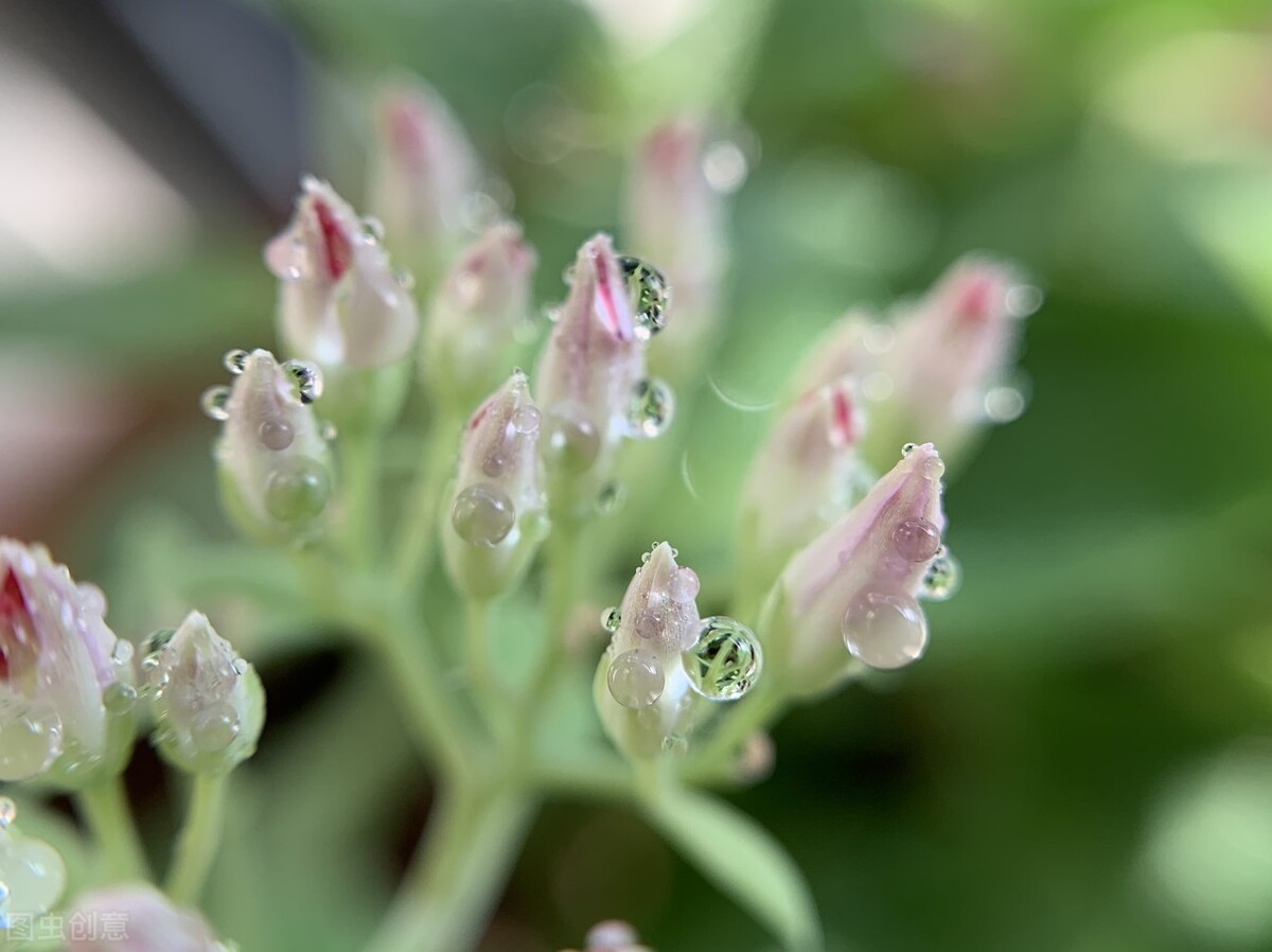 浮云吹作雪世味煮成茶下联的意思,浮云吹作雪世味煮成茶是什么意思