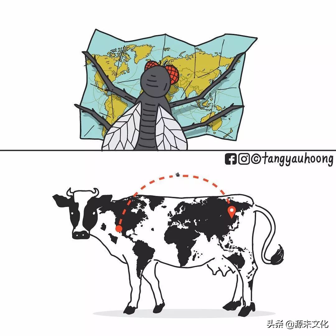 耐克和阿迪达斯联动,耐克与阿迪一起穿