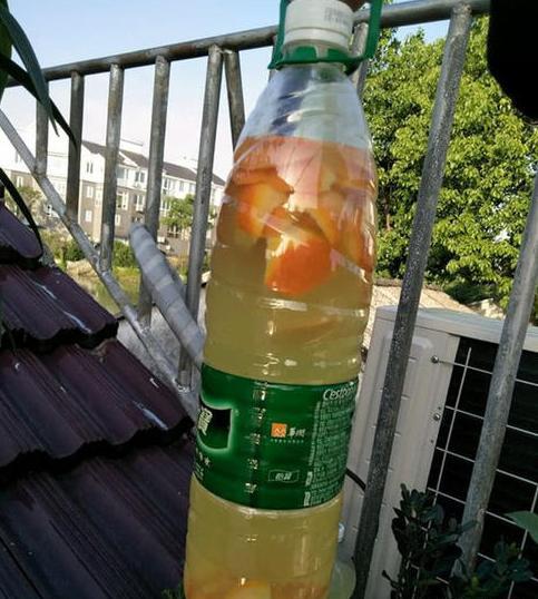 自制养花营养液不招虫子,养花用的营养液是怎么做的