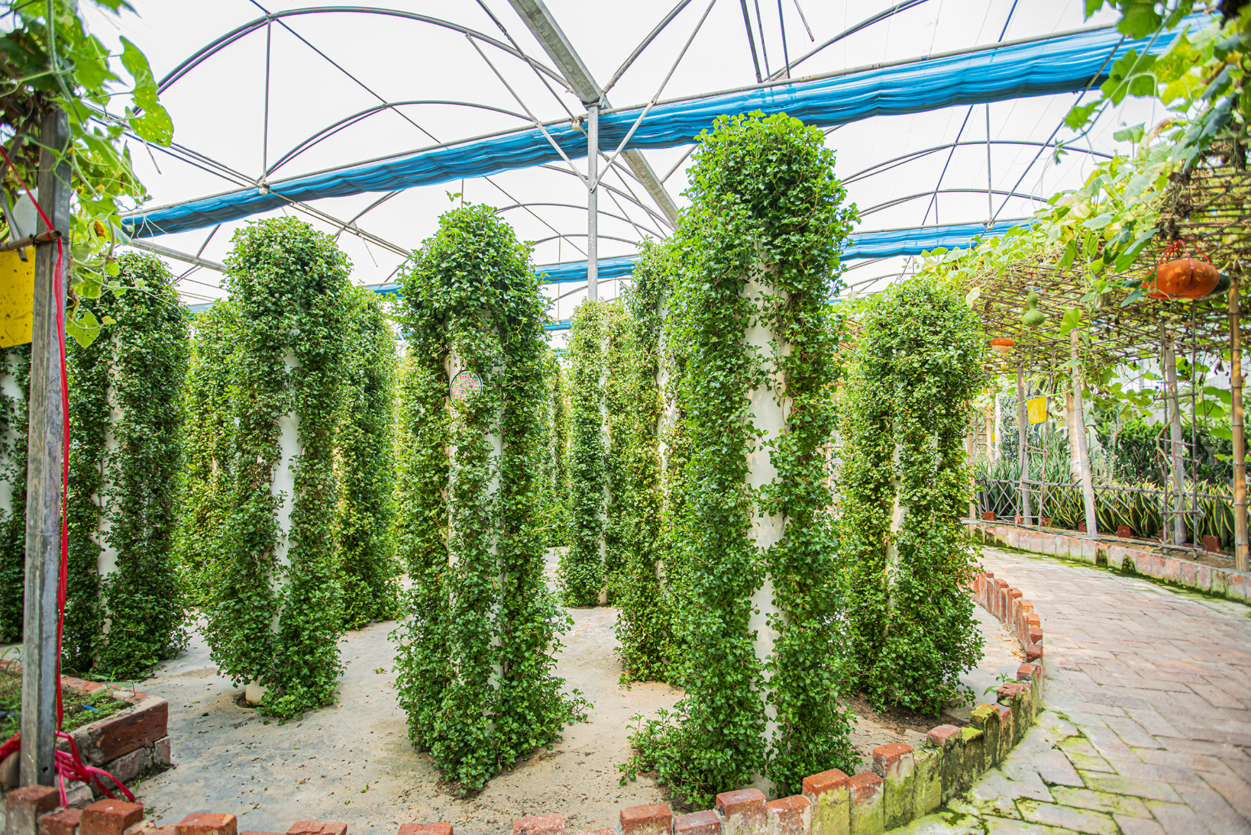 侨鑫生态园景区,华南生态休闲农庄