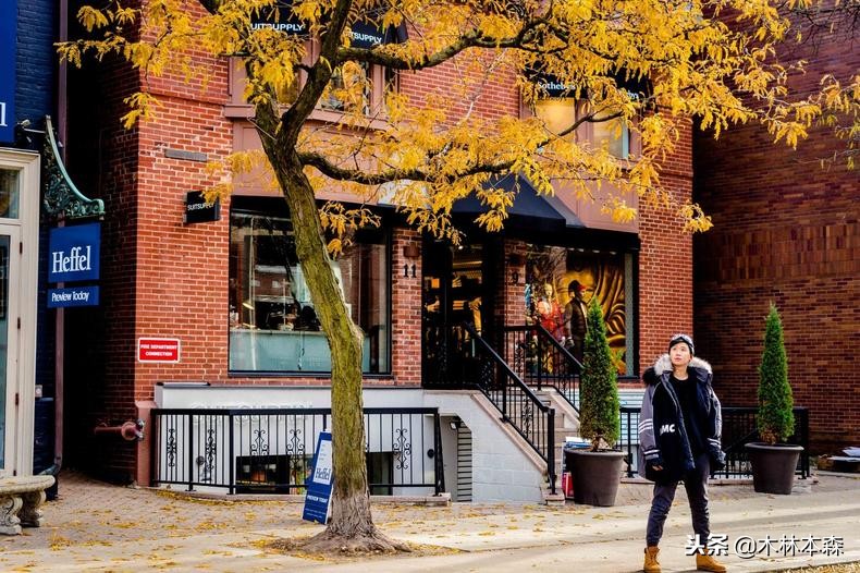 加拿大多伦多生活日记,加拿大多伦多留学生活纪实