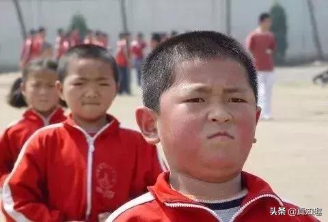 中国武术到底该不该实战,中国武术有必要学吗