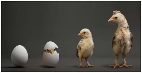 错过猛涨期影响宝宝生长发育,孩子生长发育期如何长得更高