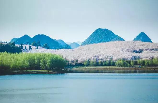 去日本观赏樱花最佳去哪个岛,去日本观赏樱花可能去什么岛