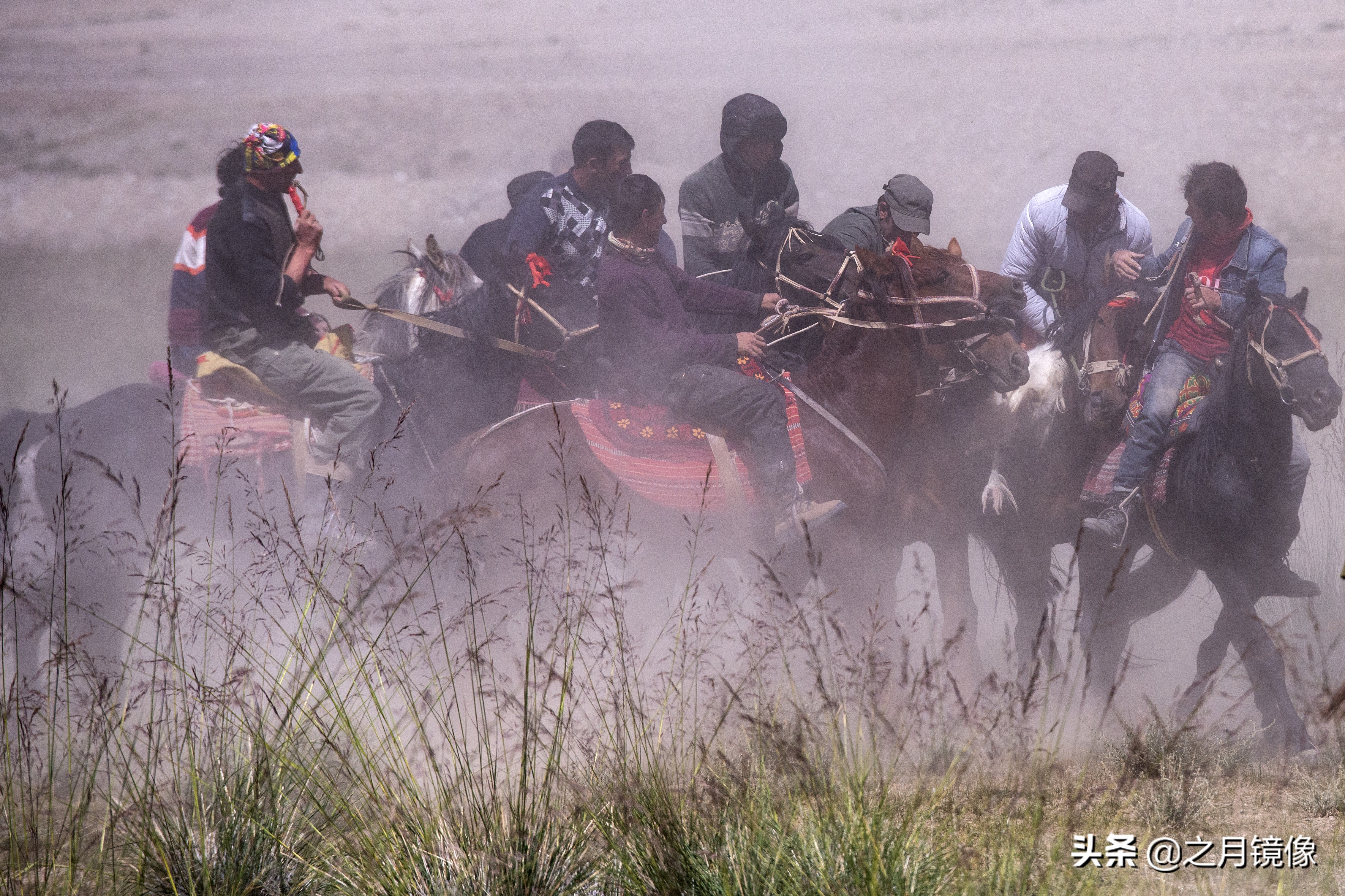 铁血雄鹰全剧,铁血雄鹰全文阅读