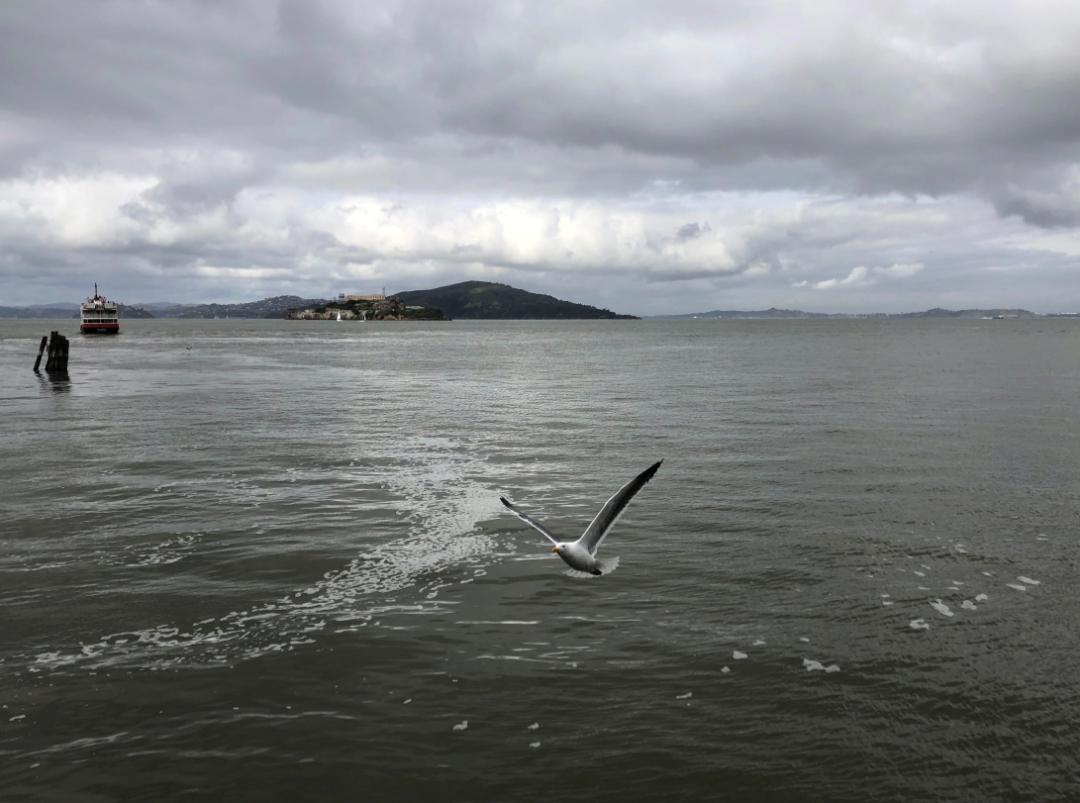 ins风暗黑图片,ins暗黑风格照