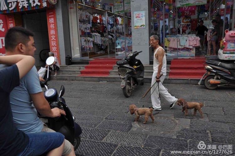 洛阳晚报作品,洛阳晚报2020年