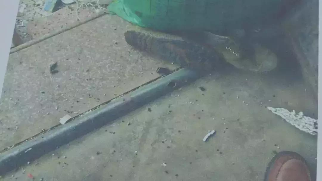 雇工致人损害的赔偿责任,雇工摔伤