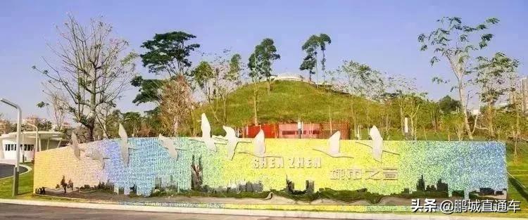 深圳60个最适合一日免费景点,暑假深圳旅游必去十大景点