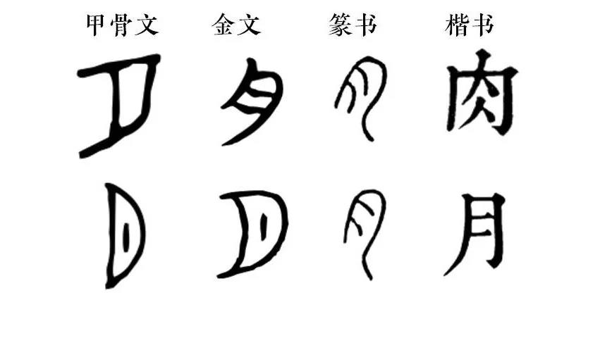 中秋节不吃点月饼没有仪式感,中秋不吃月饼吃肉