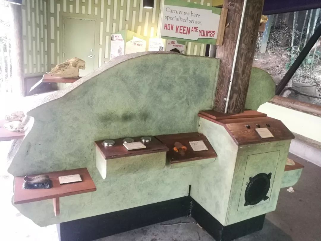 亚特兰大动物园,亚特兰大动物园和华盛顿动物园