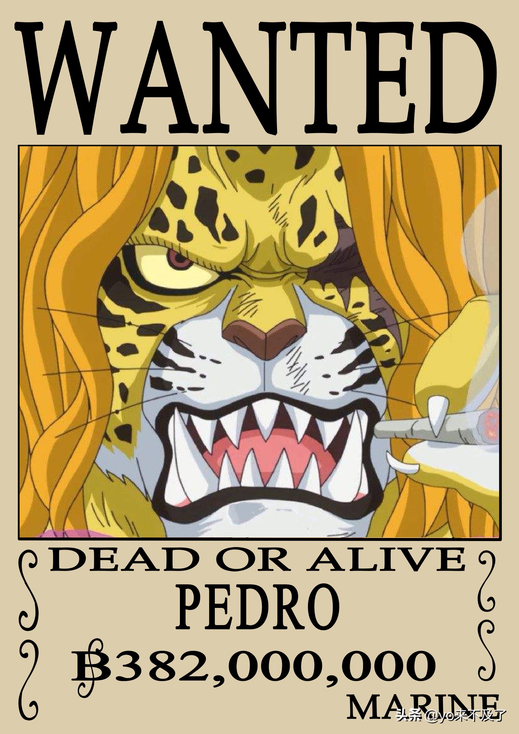 海贼王人物最新赏金排名前100,海贼王实力排行前十位做分析