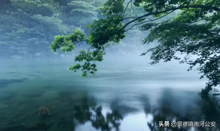 江浙诗友会雅集|三春丽景三春醉，一院清香一院诗