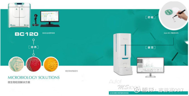 未来三年利润超过市值的大牛股,股市今日行情安图生物