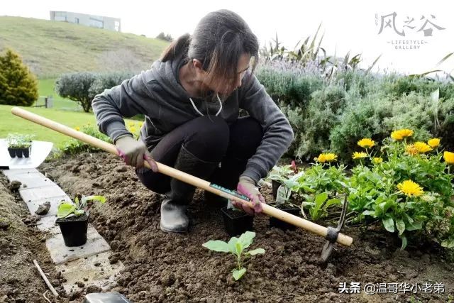 十几年的夫妻感悟,十年的老华人含泪感悟
