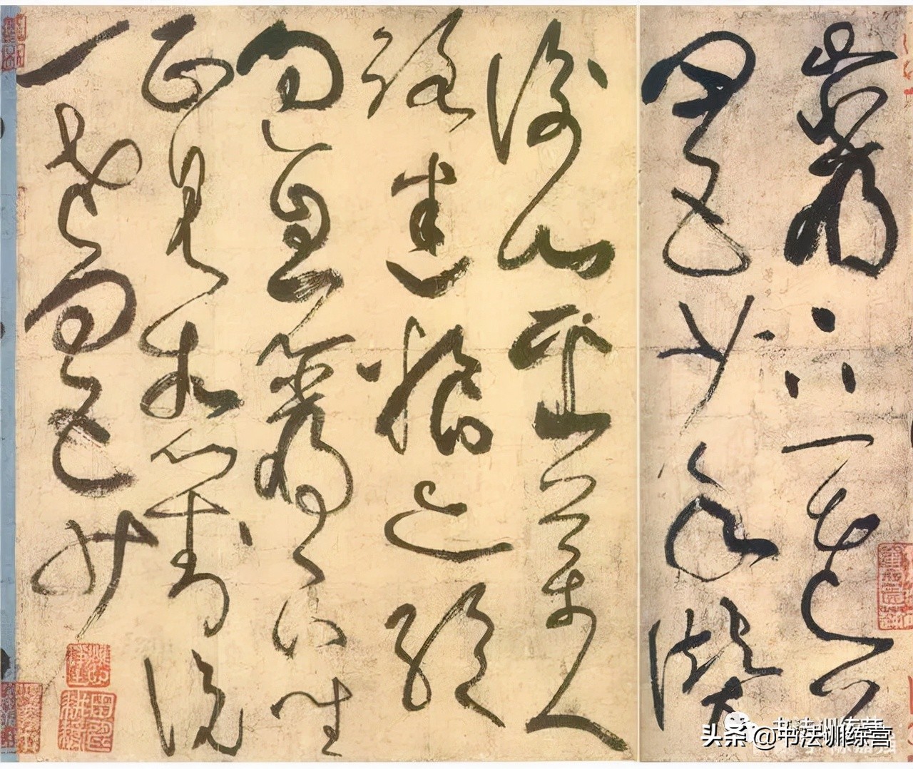 草书的欣赏技巧,如何欣赏草书作品