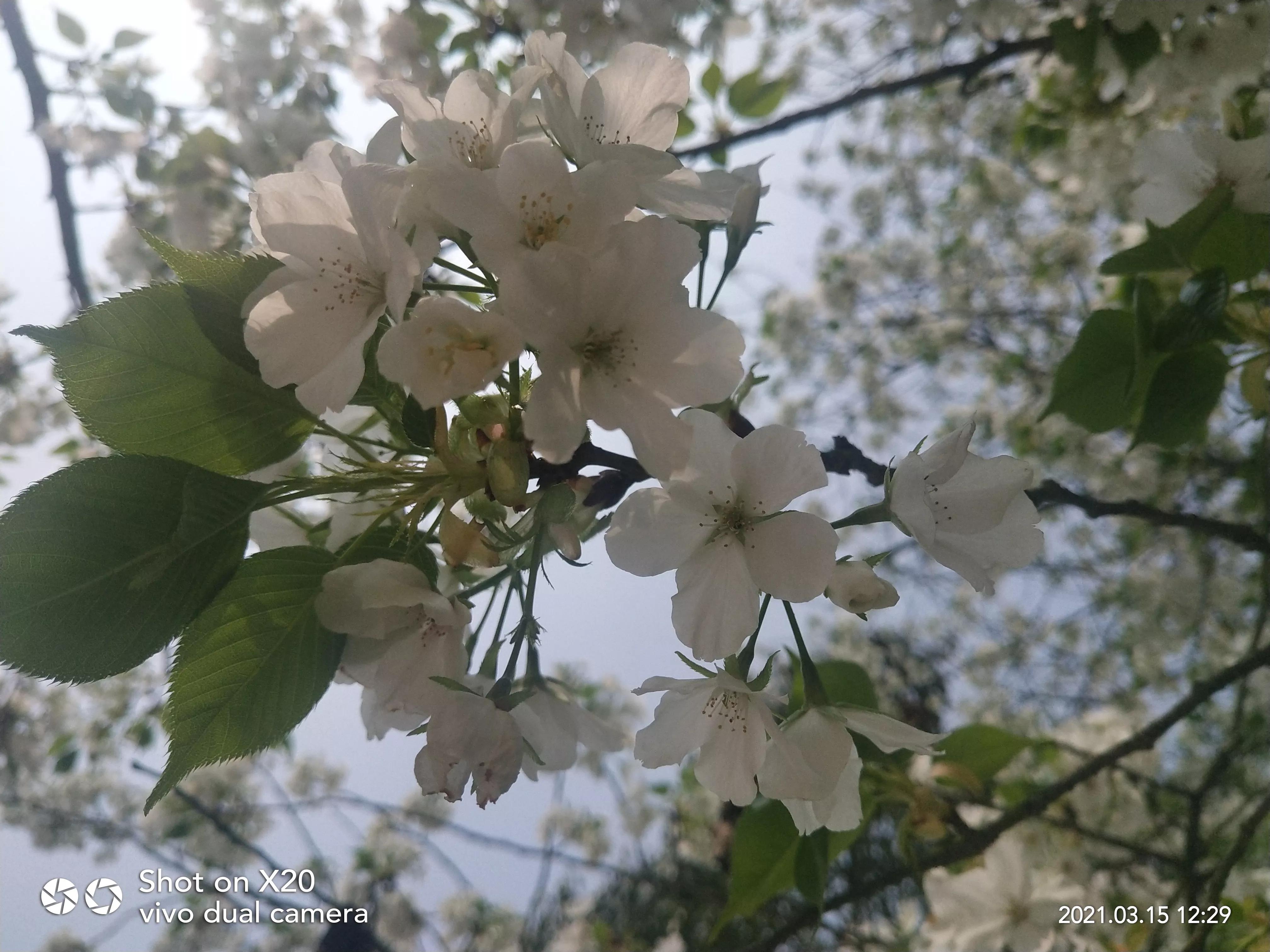 家有高中生家长该不该陪读,家有高中生家长的感悟
