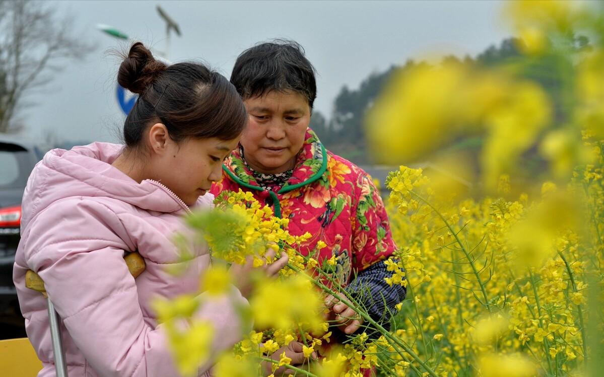 水稻种植户杨良金,杨良金有机大米