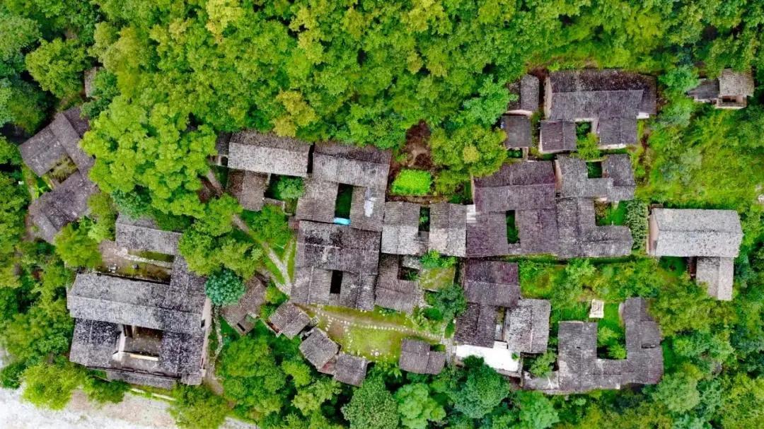 这就是幸福武都!