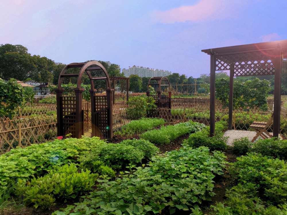 广州周末带娃好去处免费,广州遛娃的地方免费景点