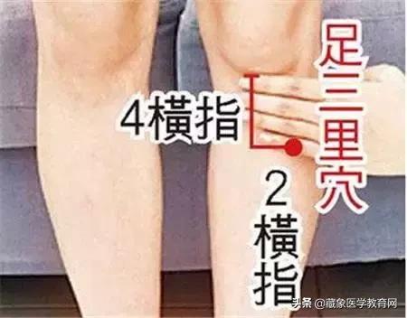 健康管理师需要哪些技巧,健康管理师基础知识100条