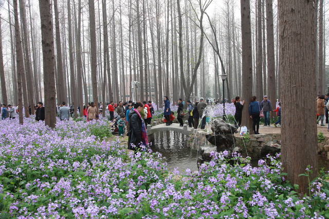 江苏高校毕业生薪酬排行榜发布，第4名令人惊喜