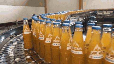 国产老汽水消亡,国产老味道老汽水