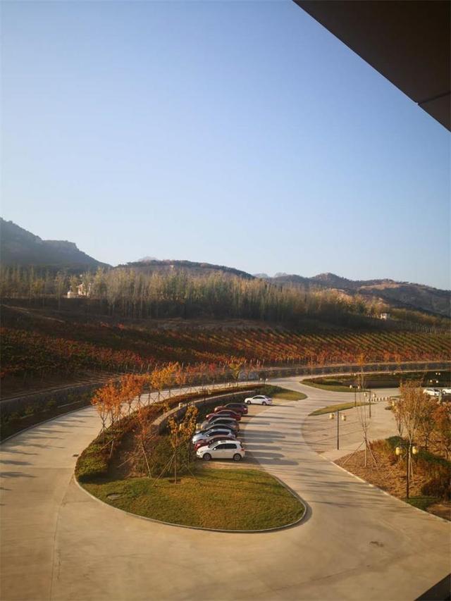 中粮华夏长城,中粮长城葡萄酒加盟官网