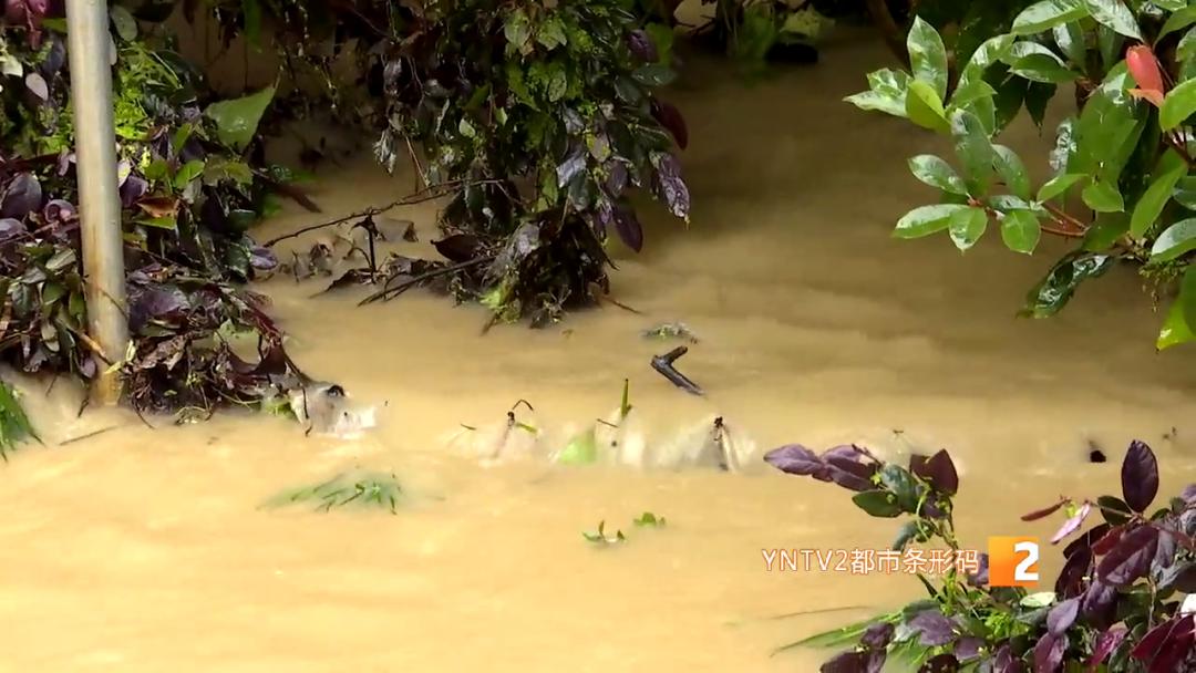 洪水涌入地下车库视频播放,洪水涌入地下停车场
