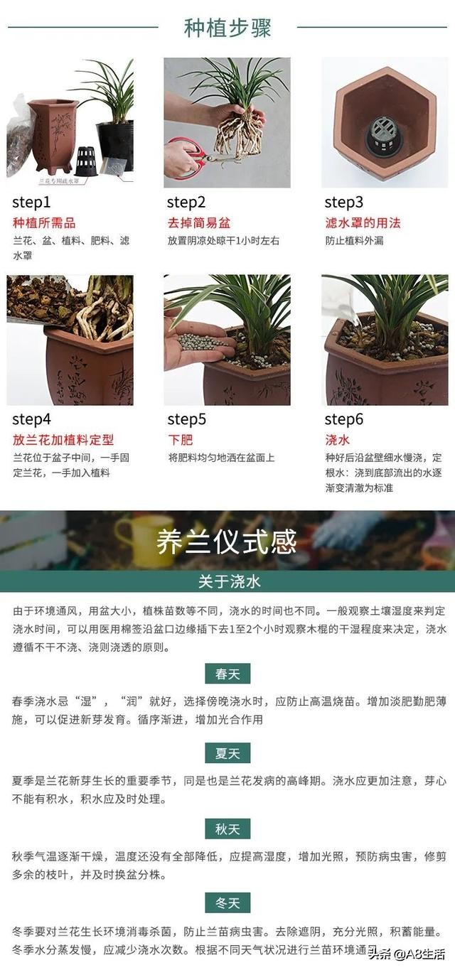 每日一品七律,每日一品茶叶