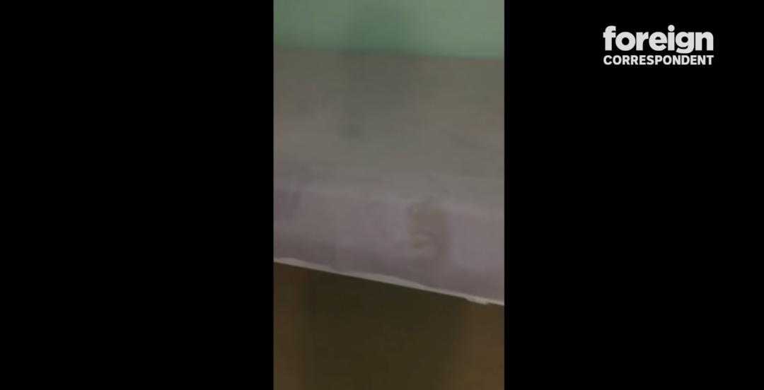 这不是瓜是悲剧，对代孕说NO，别让有价生意摧毁无价生命